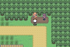 口袋妖怪究极绿宝石神战版【vgc2019纪念版】图文攻略