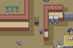 口袋妖怪去吧伊布3.0图文攻略