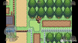 口袋妖怪去吧伊布3.0图文攻略