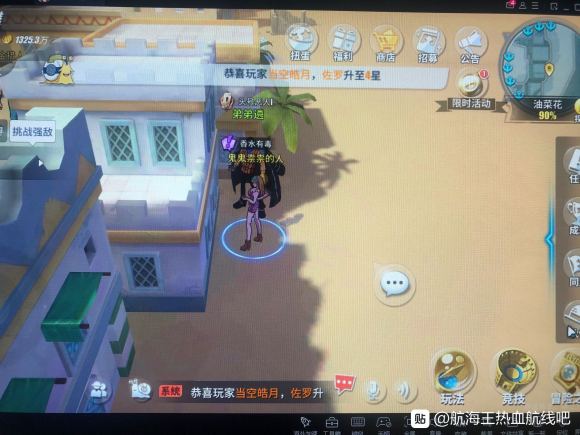 航海王热血航线油菜花探索攻略