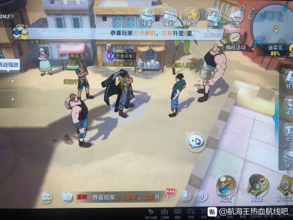 航海王热血航线油菜花探索攻略