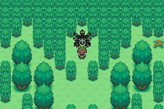 口袋妖怪永恒之沫3.0第三周目图文攻略