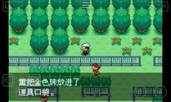 口袋妖怪永恒之沫3.0一周目图文攻略