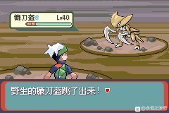 口袋妖怪永恒之沫流星瀑布精灵分布