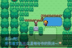 口袋妖怪永恒之沫3.0第一周目图文攻略