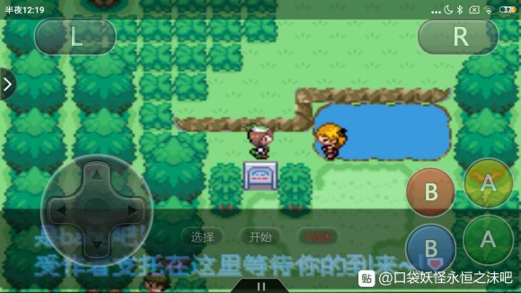 口袋妖怪永恒之沫3.0攻略