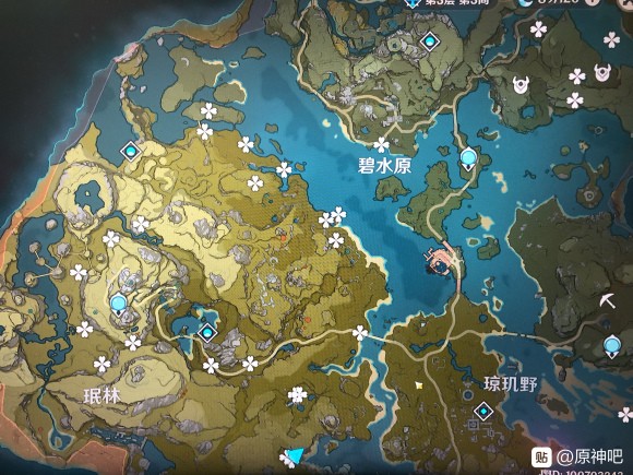 原神《Project》骗骗花分布在哪?