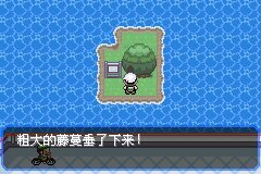 口袋妖怪究极绿宝石4.B神战版霸主分布攻略