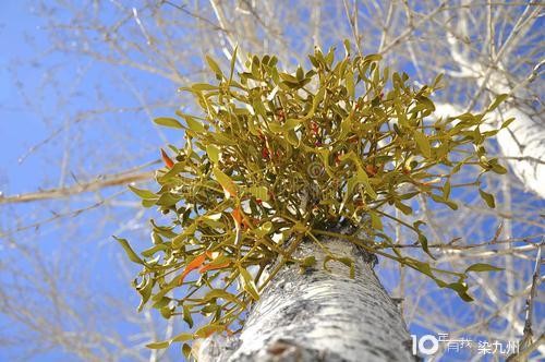 泰坦之旅《TitanQuest》全成就攻略