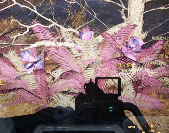 辐射76《Fallout76》红色紫色溶剂制作攻略