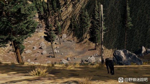 野狼谜踪3《WolfQuest3》图文攻略