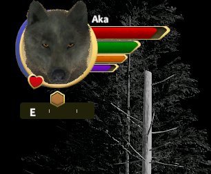 野狼谜踪3《WolfQuest3》图文攻略