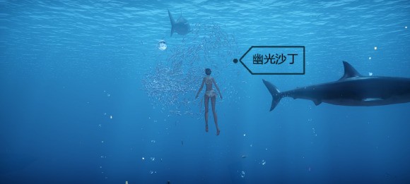 天谕手游鱼类图鉴解锁攻略