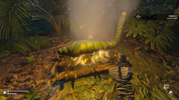 绿色地狱《GreenHell》新地图攻略