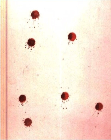 犯罪大师《crimaster》十字路口答案是什么?