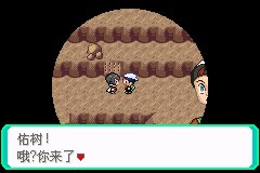 口袋妖怪究极绿宝石Ⅲ（3）二周目图文攻略