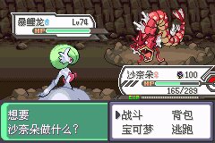 口袋妖怪究极绿宝石Ⅲ（3）二周目图文攻略