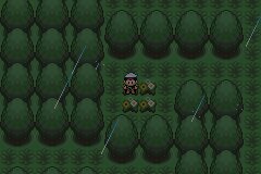 口袋妖怪究极绿宝石Ⅲ（3）二周目图文攻略