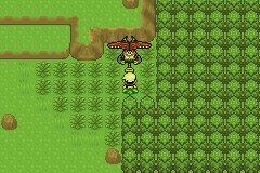 口袋妖怪究极绿宝石Ⅲ（3）二周目图文攻略