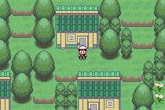 口袋妖怪究极绿宝石Ⅲ（3）二周目图文攻略