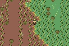 口袋妖怪究极绿宝石Ⅲ（3）二周目图文攻略