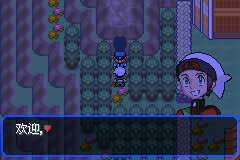 口袋妖怪究极绿宝石Ⅲ（3）二周目图文攻略