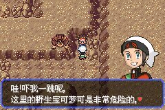 口袋妖怪究极绿宝石Ⅲ（3）二周目图文攻略