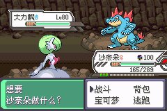 口袋妖怪究极绿宝石Ⅲ（3）二周目图文攻略