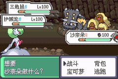 口袋妖怪究极绿宝石Ⅲ（3）二周目图文攻略