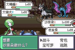 口袋妖怪究极绿宝石Ⅲ（3）二周目图文攻略