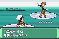 口袋妖怪究极绿宝石Ⅲ（3）二周目图文攻略