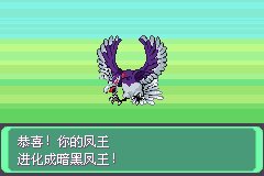 口袋妖怪究极绿宝石Ⅲ(3)二周目图文攻略