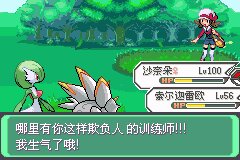 口袋妖怪究极绿宝石Ⅲ（3）二周目图文攻略