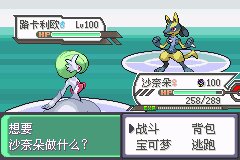 口袋妖怪究极绿宝石Ⅲ（3）二周目图文攻略