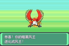 口袋妖怪究极绿宝石Ⅲ(3)二周目图文攻略