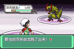 口袋妖怪究极绿宝石Ⅲ（3）二周目图文攻略