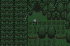 口袋妖怪究极绿宝石Ⅲ（3）二周目图文攻略