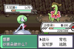 口袋妖怪究极绿宝石Ⅲ（3）二周目图文攻略