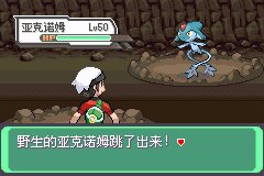 口袋妖怪究极绿宝石Ⅲ（3）二周目图文攻略