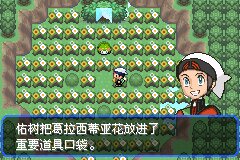 口袋妖怪究极绿宝石Ⅲ（3）二周目图文攻略