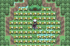 口袋妖怪究极绿宝石Ⅲ（3）二周目图文攻略