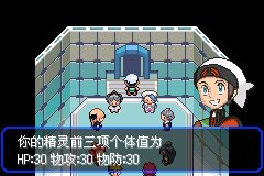 口袋妖怪究极绿宝石Ⅲ（3）二周目图文攻略