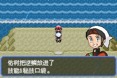 口袋妖怪究极绿宝石Ⅲ（3）二周目图文攻略