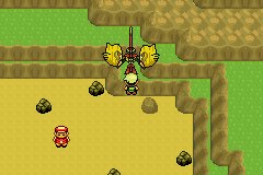 口袋妖怪究极绿宝石Ⅲ（3）二周目图文攻略