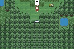 口袋妖怪究极绿宝石Ⅲ（3）二周目图文攻略