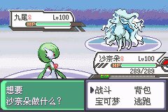 口袋妖怪究极绿宝石Ⅲ（3）二周目图文攻略