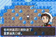 口袋妖怪究极绿宝石Ⅲ（3）二周目图文攻略