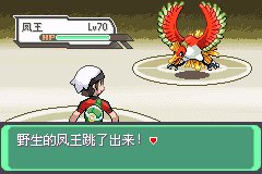 口袋妖怪究极绿宝石Ⅲ（3）二周目图文攻略