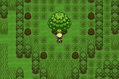 口袋妖怪究极绿宝石Ⅲ（3）二周目图文攻略