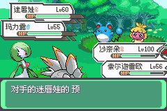 口袋妖怪究极绿宝石Ⅲ（3）二周目图文攻略